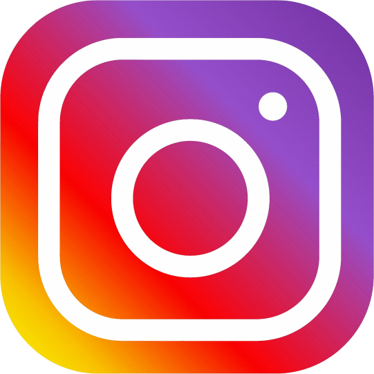 Instagram Vovinam Zona Dinamica
