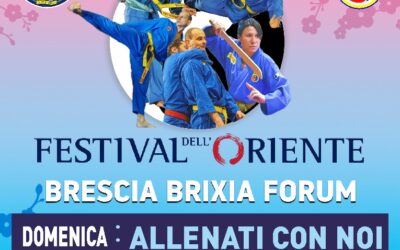 Il Vovinam vi aspetta al Festival dell’Oriente di Brescia!